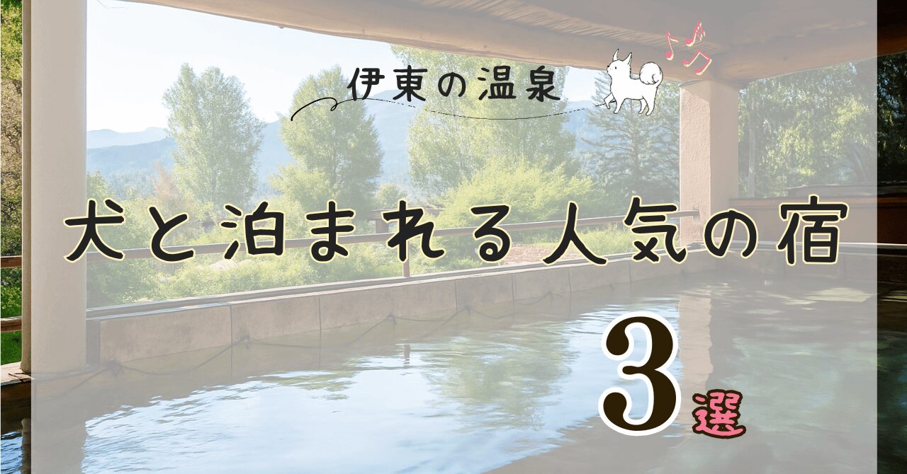 伊東の温泉で犬と泊まれる宿の紹介